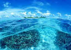�C���W�����C���[�W